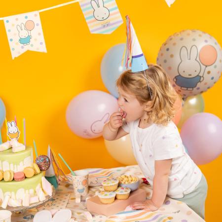 Miffy Party Teller "nijntje"